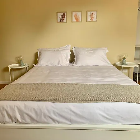Apartamento Sta Catarina - Sta Catarina Place Ponta Delgada Zewnętrze zdjęcie